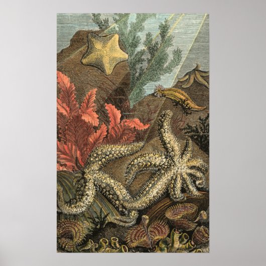 海の下 ポスター (正面)