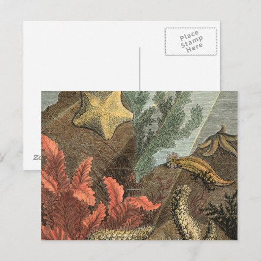 海の下 ポストカード (正面/裏面)