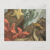 海の下 ポストカード (正面)