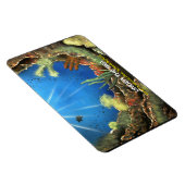 海の下 マグネット (右側)