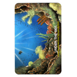 海の下 マグネット