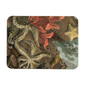 海の下 マグネット (横)