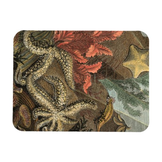 海の下 マグネット (横)