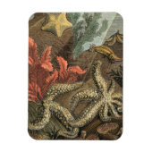 海の下 マグネット (縦)