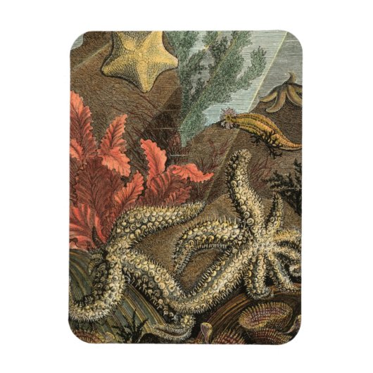 海の下 マグネット (縦)