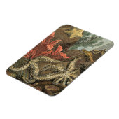 海の下 マグネット (左側)