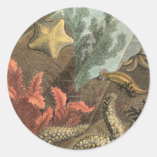 海の下 ラウンドシール (正面)