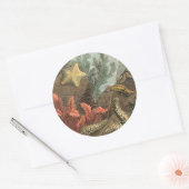 海の下 ラウンドシール (封筒)