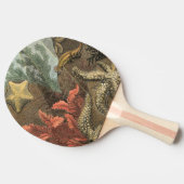 海の下 卓球ラケット (横)