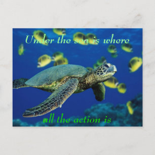 海の下 – Sea Turtle ポストカード