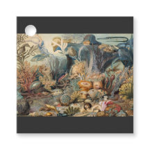 海の世界、海の下航海の。