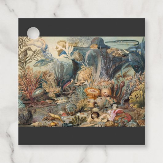 海の世界、海の下航海の。 フェイバータグ (正面)