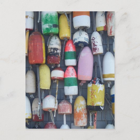 海の中での類似性 ポストカード (正面)