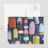 海の中での類似性 ポストカード (正面/裏面)