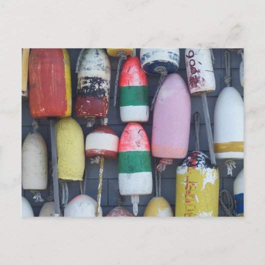 海の中での類似性 ポストカード (正面)