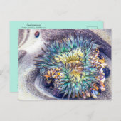 海の中のアネモン ポストカード (正面/裏面)