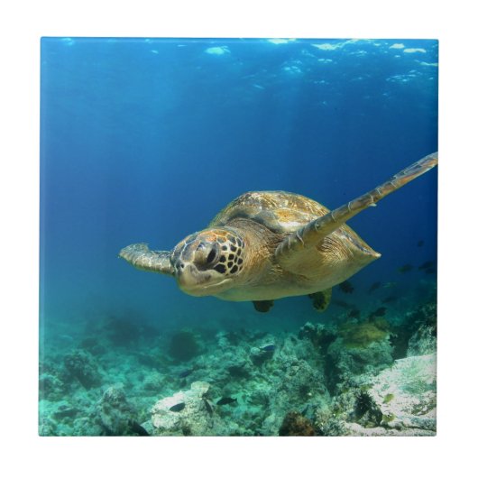 海の中のウミガメ タイル (正面)