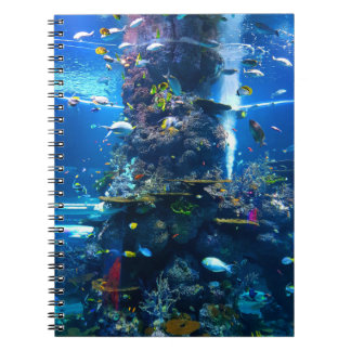 海の中の魚のノートブック ノートブック