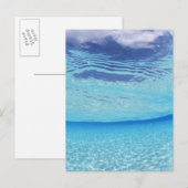 海の中 ポストカード (正面/裏面)