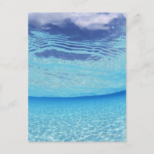 海の中 ポストカード (正面)