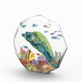 海の亀と魚たち  フォトブロック (右)