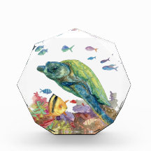 海の亀と魚たち