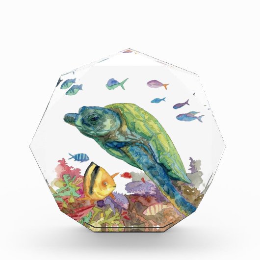 海の亀と魚たち  フォトブロック (正面)