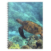 海の亀 ノートブック (正面)