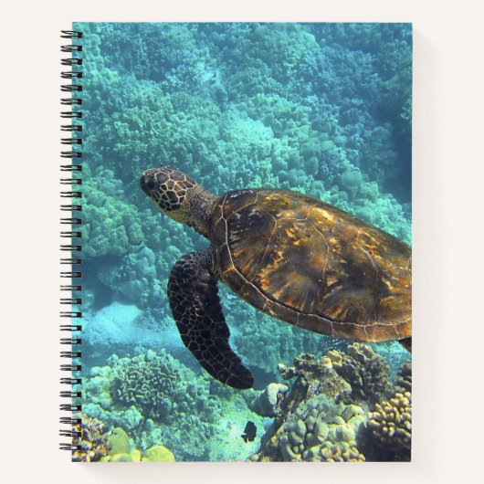 海の亀 ノートブック (正面)