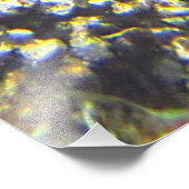 海の亀 フォトプリント            (角)