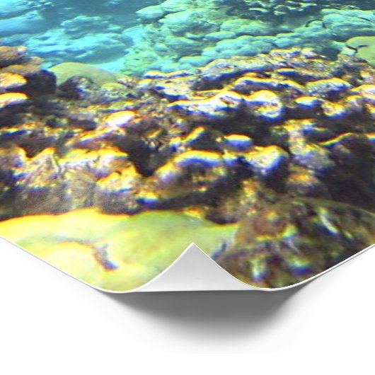 海の亀 ポスター (コーナー)