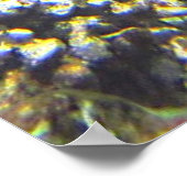 海の亀 ポスター (角)