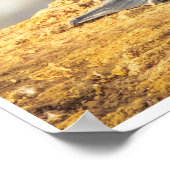 海の儀式: カワウの展示写真 ポスター (角)