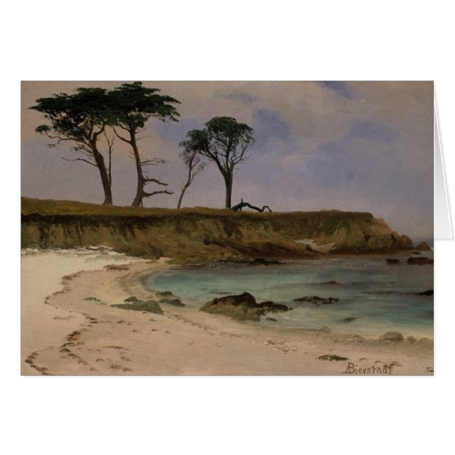 海の入江 (正面横)