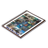 海の動物 ノートブック (左側)