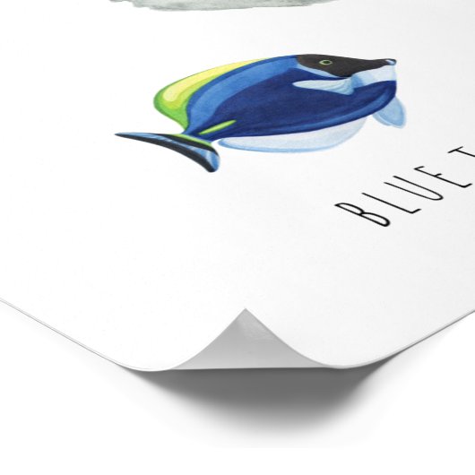 海の動物 | 教育学習教室 ポスター (角)