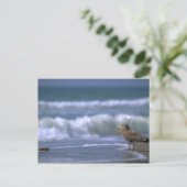 海の向こう側 ポストカード (スタンド正面)