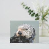 海の哲学者 ポストカード (スタンド正面)