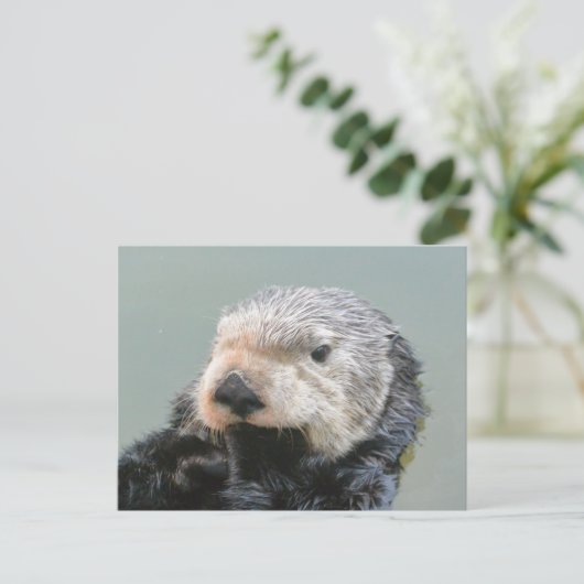 海の哲学者 ポストカード (スタンド正面)