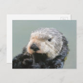 海の哲学者 ポストカード (正面/裏面)