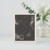 海の国々のオディロン・レドン住民 ポストカード (スタンド正面)