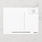 海の夕日とボートの港 ポストカード (裏面)