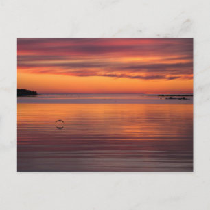 海の夕日フィンランドCC0157はがき ポストカード