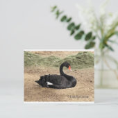 海の夢を見る ポストカード (スタンド正面)