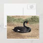 海の夢を見る ポストカード (正面/裏面)