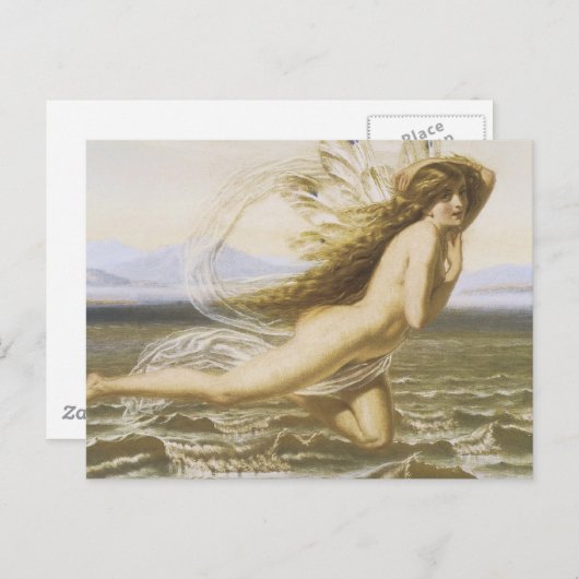 海の妖精の下 ポストカード (正面/裏面)