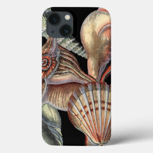 海の宝物 iPhone 13ケース