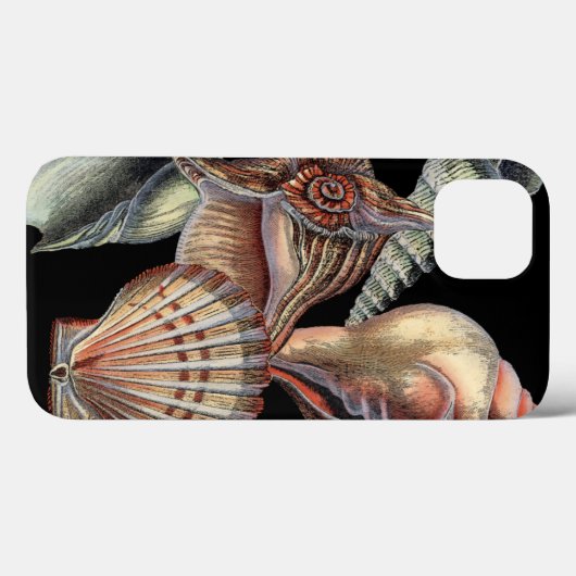 海の宝物 Case-Mate iPhoneケース (裏面 (横))