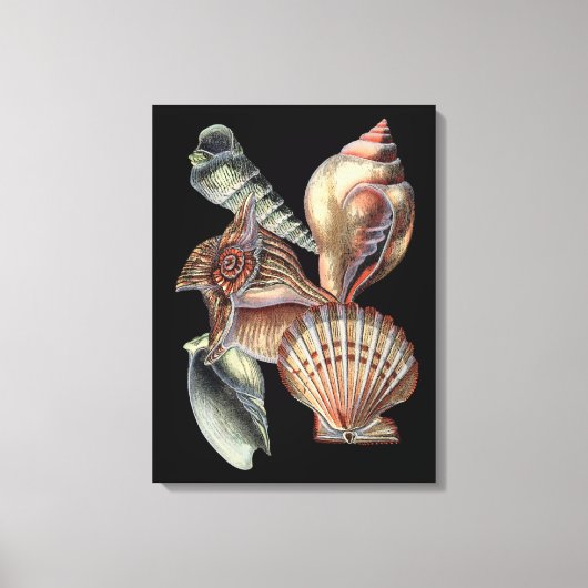 海の宝 キャンバスプリント (正面)