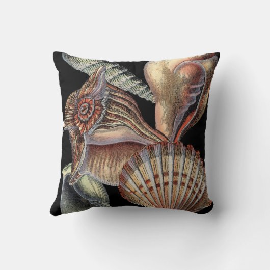 海の宝 クッション (裏面)